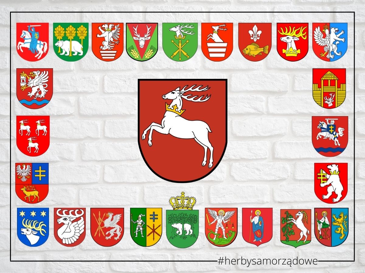Herby powiatów województwa lubelskiego.